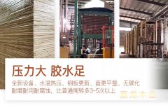 弘獅建筑模板榮獲周轉(zhuǎn)次數(shù)高贊譽！