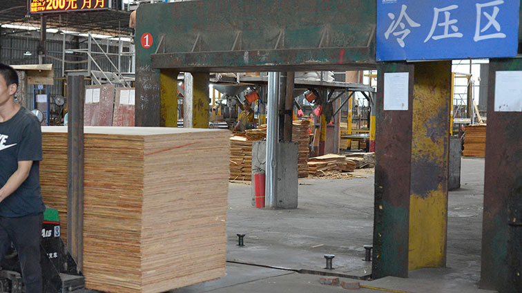 廣西模板工廠冷壓區(qū)